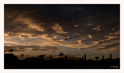 9 DAYS IN LOS COBOS
