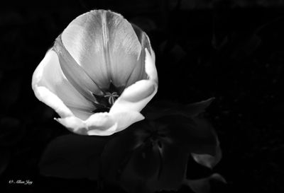 Impressions...