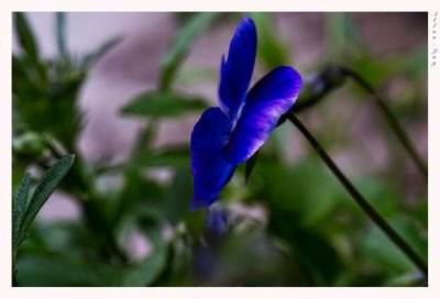 Impressions...
