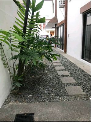 San Lorenzo Village Duplex House for Lease