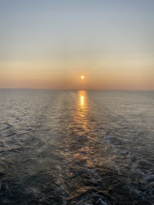 IMG_5138.JPG