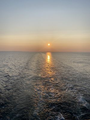IMG_5139.jpg