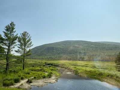 IMG_5196.JPG