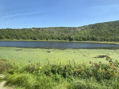 IMG_5204.JPG