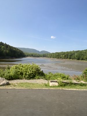 IMG_5233.JPG