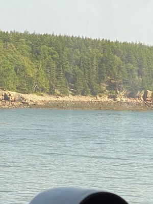 IMG_5236.JPG