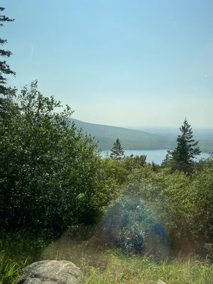 IMG_5243.JPG