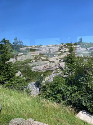 IMG_5253.JPG