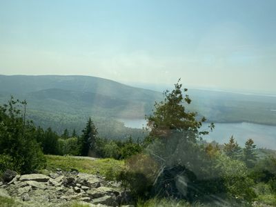IMG_5260.JPG
