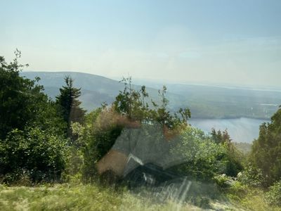 IMG_5265.JPG