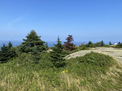 IMG_5277.JPG