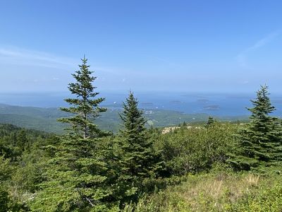 IMG_5279.JPG