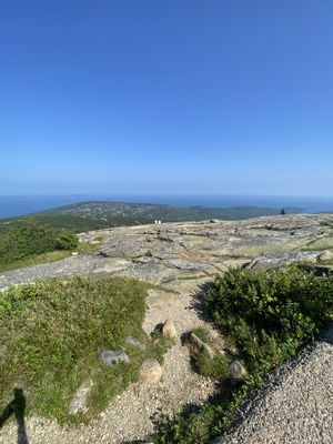 IMG_5290.JPG