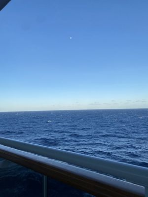 IMG_9600.jpg