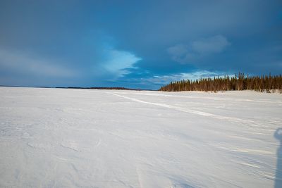R0003959 copy.jpg