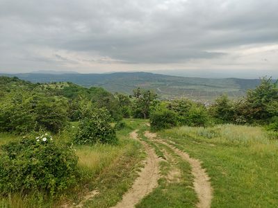 IMG_20230527_141950.jpg