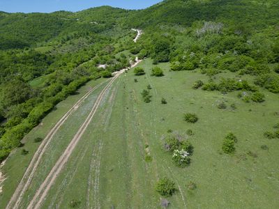 DJI_0310.jpg
