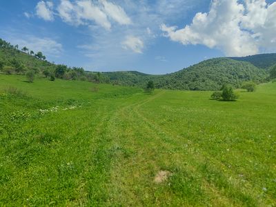 IMG_20230529_134938.jpg