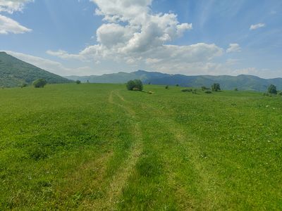 IMG_20230529_134942.jpg