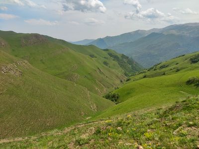 IMG_20230530_115643.jpg