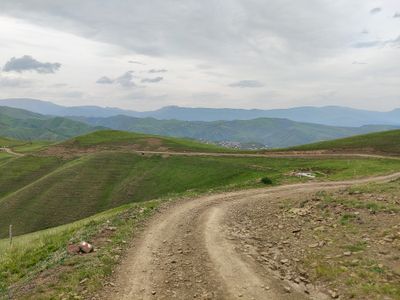 IMG_20230530_130934.jpg
