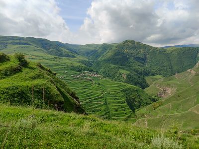 IMG_20230531_090126.jpg