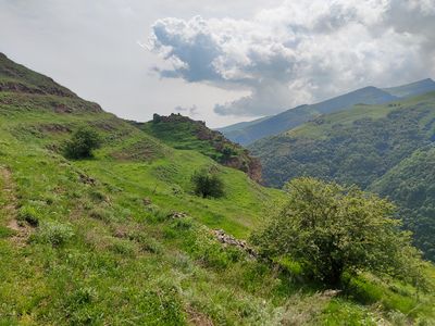 IMG_20230531_091216.jpg