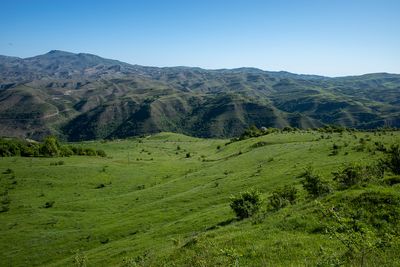 R0004219.jpg