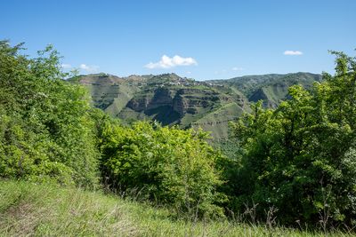 R0004223.jpg