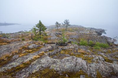 R0006106.jpg