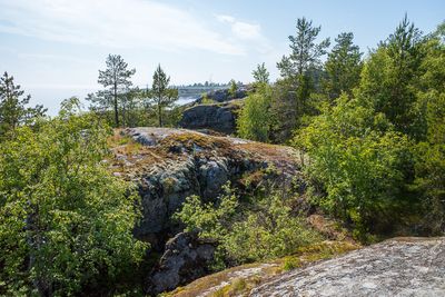 R0006155.jpg