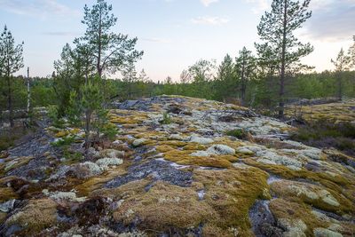 R0006204.jpg