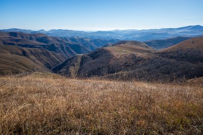 R0006858.jpg