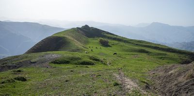 R0007247.jpg