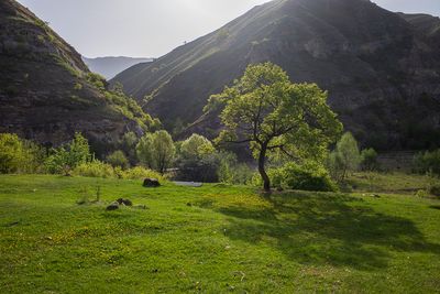 R0007279.jpg