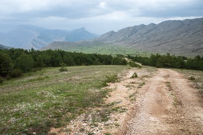 R0007336.jpg