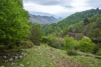 R0007535.jpg
