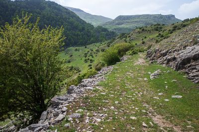 R0007566.jpg