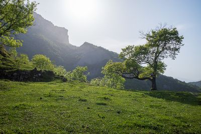 R0007585.jpg