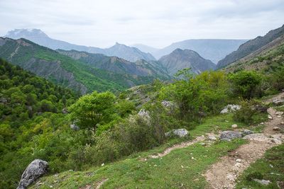 R0007590.jpg