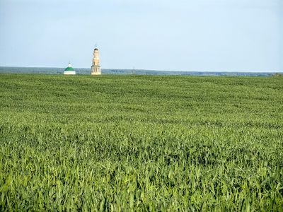 IMG_20240529_185605.jpg