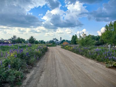 IMG_20240602_162212.jpg