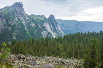 R0007770.jpg