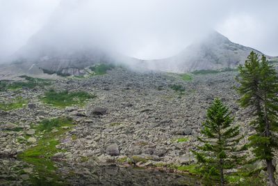 R0007784.jpg