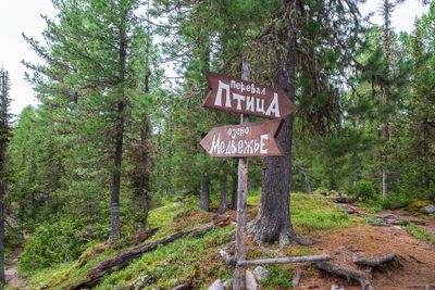 R0008197.jpg