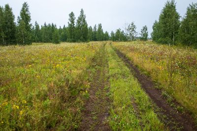 R0009799.jpg