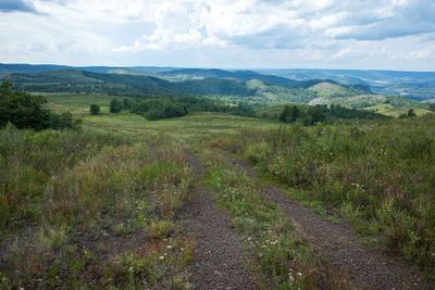 R0009817.jpg