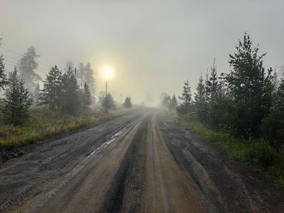 IMG_20240808_065627.jpg