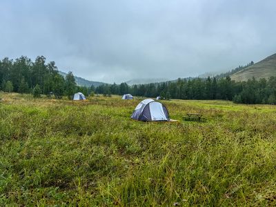 IMG_20240812_181508.jpg