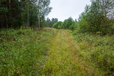 R0009940.jpg